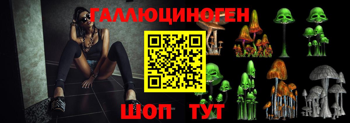 Галлюциногенные грибы MAGIC MUSHROOMS  Вход с VPN  Галлюциногенные грибы Psilocybe  Зеленогорск 